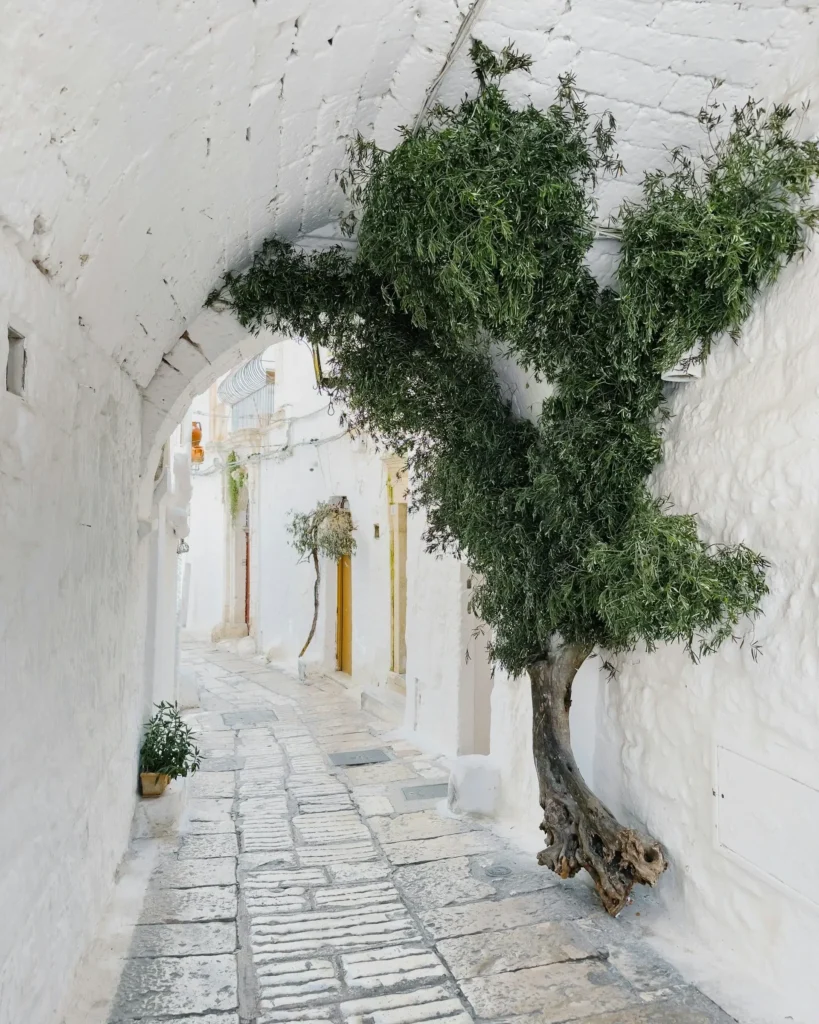 Ostuni white city