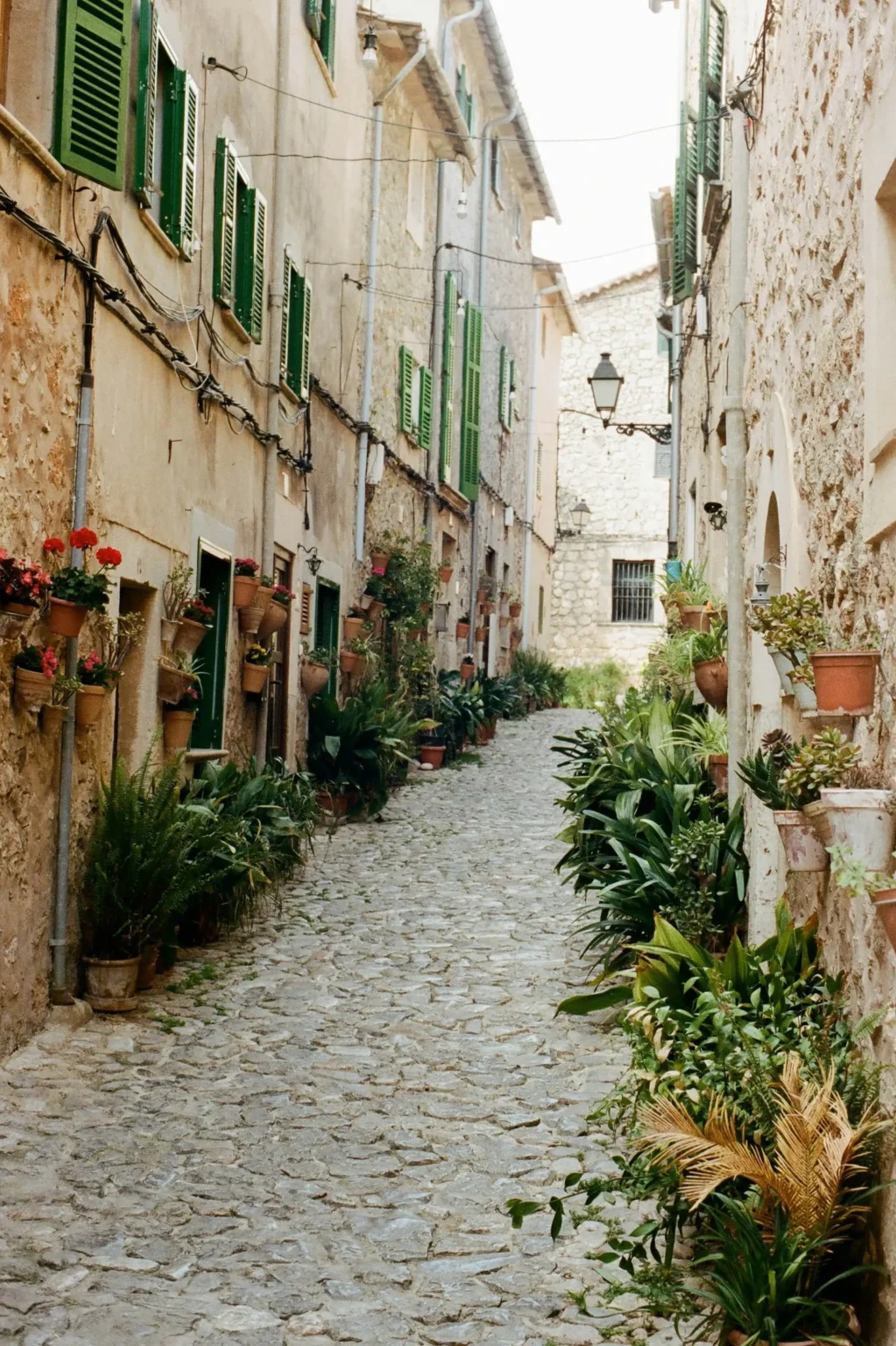 Bezienswaardigheden Valldemossa